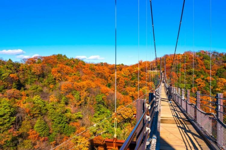 Hoshida Park Suspension Bridge