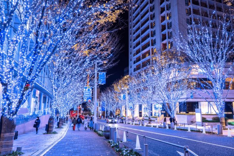 Jalan Keyakizaka yang diterangi oleh lampu-lampu LED di malam hari