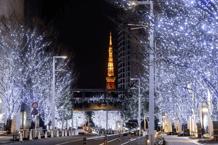 Roppongi Hills Winter Illumination (Enjoy Tokyo)