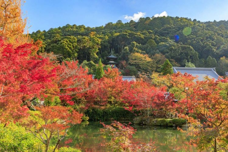 Tahoto pagoda yang telihat di antara pepohonan