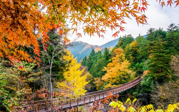 Akigawa Valley