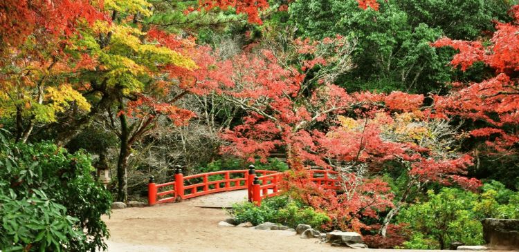 Momijidani Park.