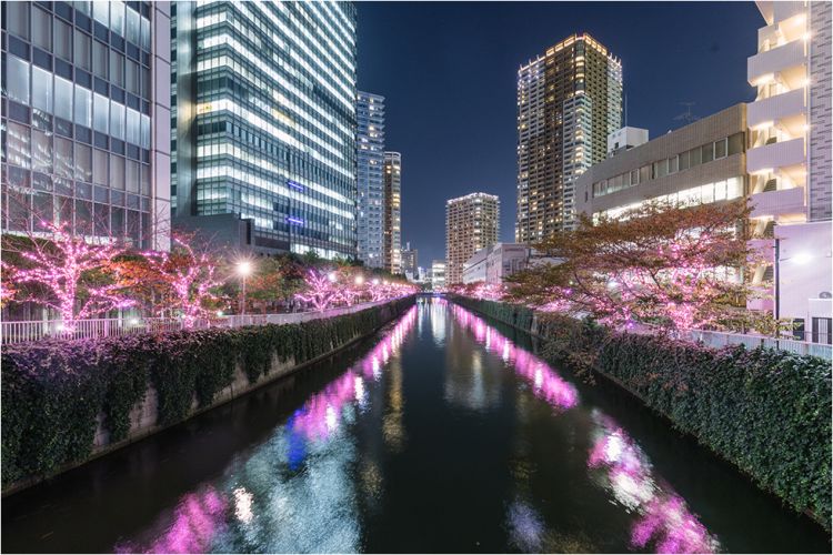 Sungai Meguro yang diterangi oleh lampu-lampu