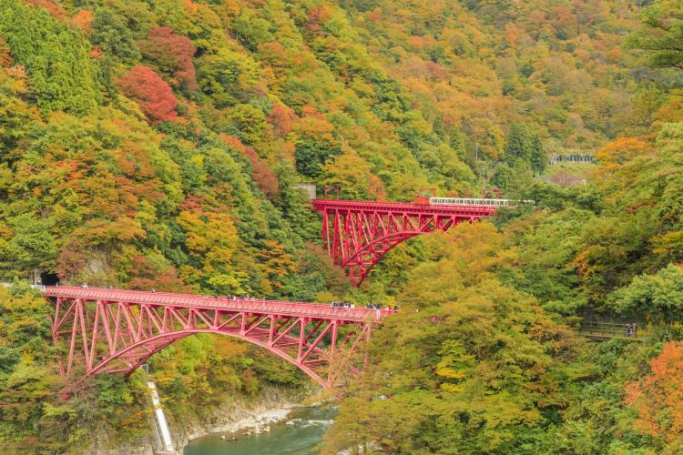 Yamabiko Bridge dan Yamabiko Walkway (Visit Toyama)