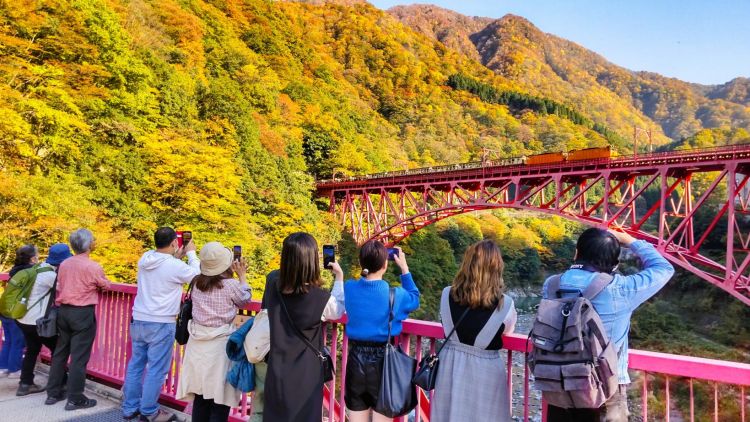 Yamabiko Bridge (Visit Toyama)