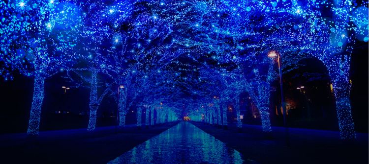 Jalur bercahaya biru pada Shibuya Blue Cave (shibuya-aonodokutsu.jp)