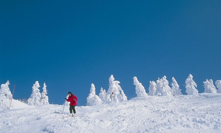 Wisata Prefektur Aomori