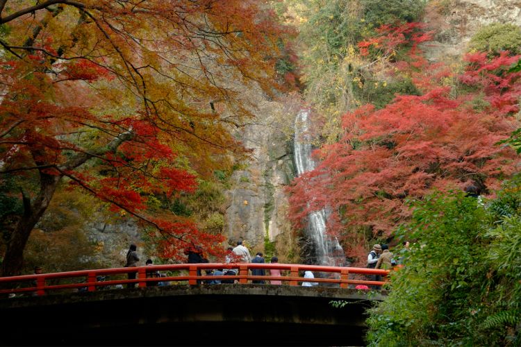 Keindahan Air Terjun Minoh di dekat Osaka