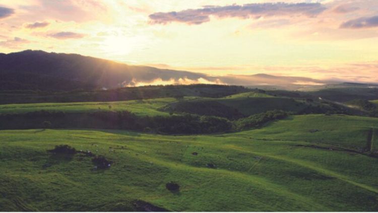 Matahari terbit di Naitai Highland Farm