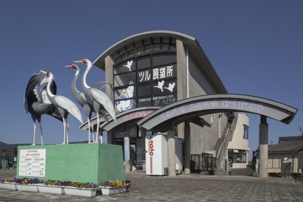 Pusat Observasi Burung Bangau Kota Izumi