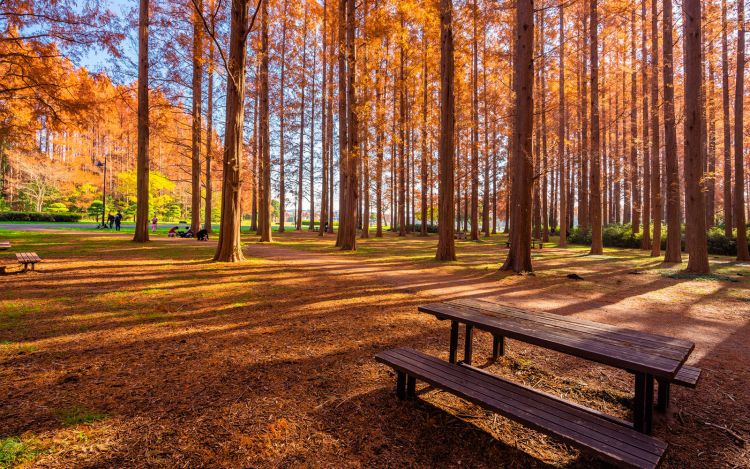 Mizumoto Park taman di Tokyo