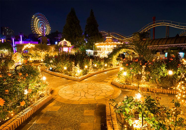 Hirakata Park illumination