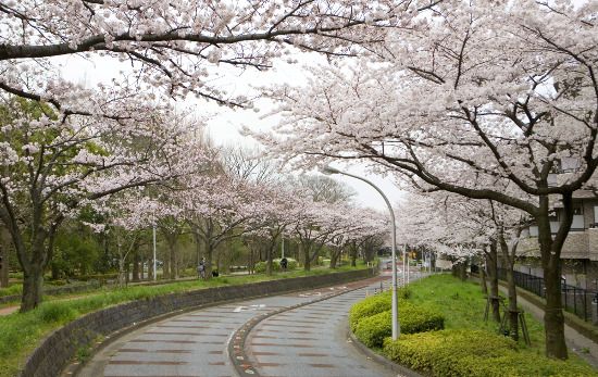 Mizumoto Park taman di Tokyo