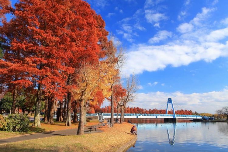 Mizumoto Park taman di Tokyo