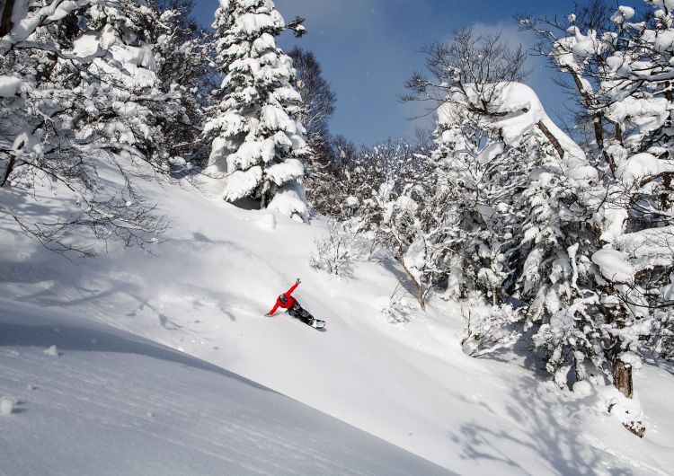 Appi Kogen Ski Resort