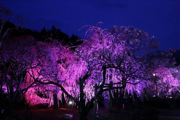 Nanrakuen Garden