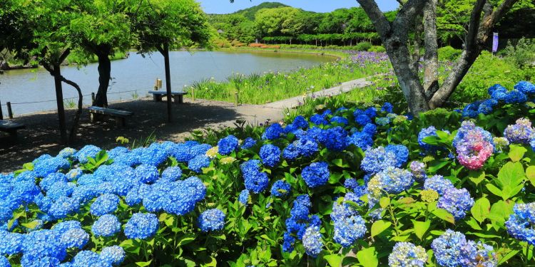 Nanrakuen Garden