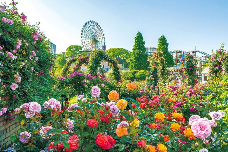 Hirakata Park