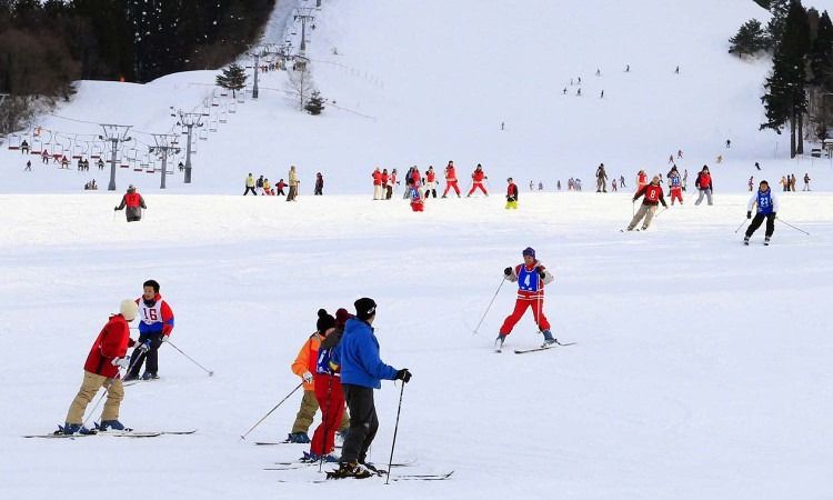 Owani Onsen Ski Resort (Aomori Tourism)