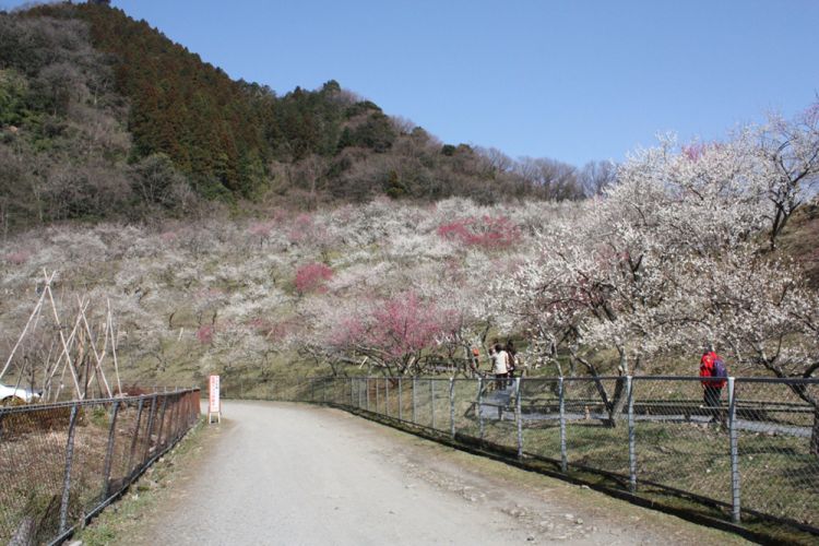 Takao Baigo