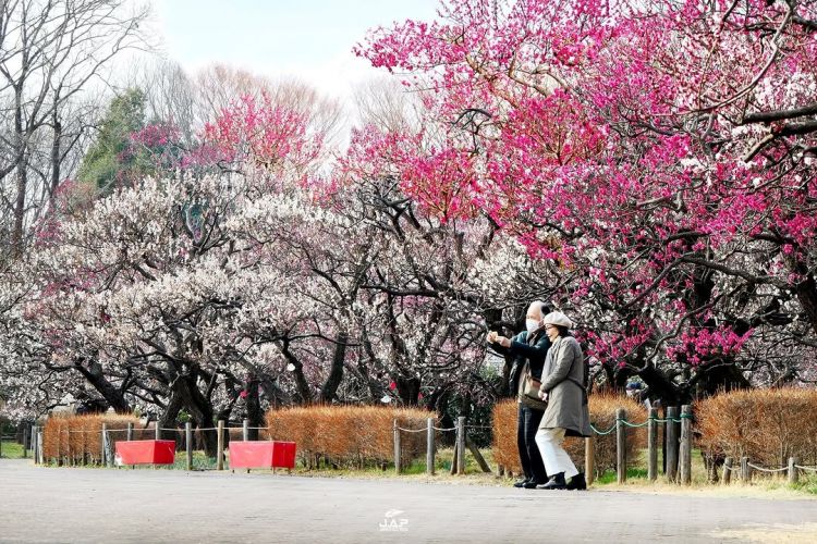 Sepasang pria dan wanita berfoto di Kyodo no Mori