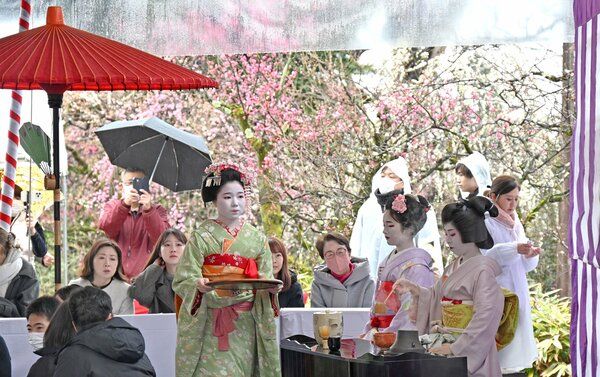 Upacara minum teh luar ruangan di Kuil Kitano Tenmangu (Kyoto Shimbun)