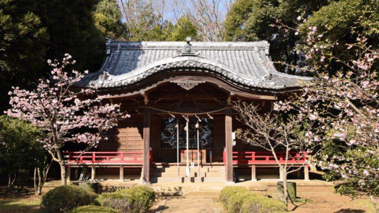 Kuil Azuma yang berada di Azumayama Park (Kanagawa Tourism Association)