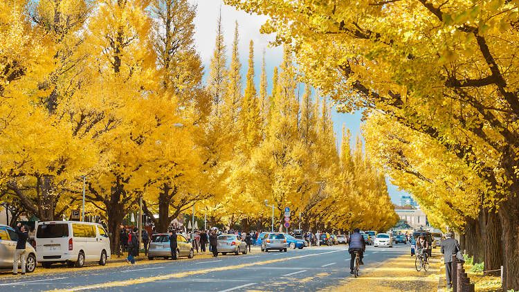 Spot jogging di Tokyo