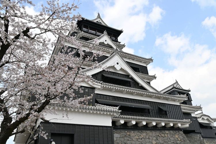 Kumamoto Castle destinasi wisata populer di Prefektur Kumamoto