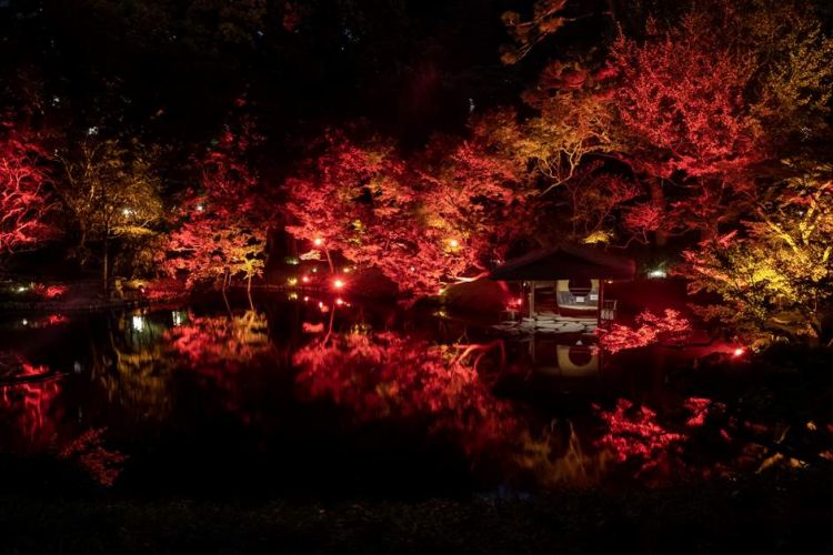 Iluminasi musim gugur di Happo-en Garden (Minato City Tourism Association)