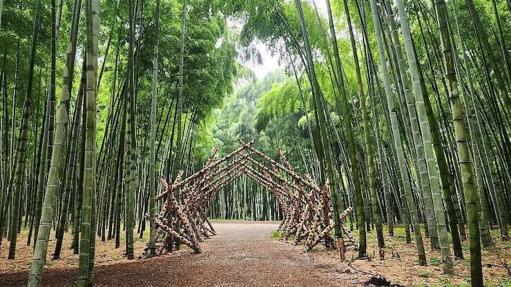 Wakayama Farm Bamboo Forest, destinasi wisata Utsunomiya di Prefektur Tochigi