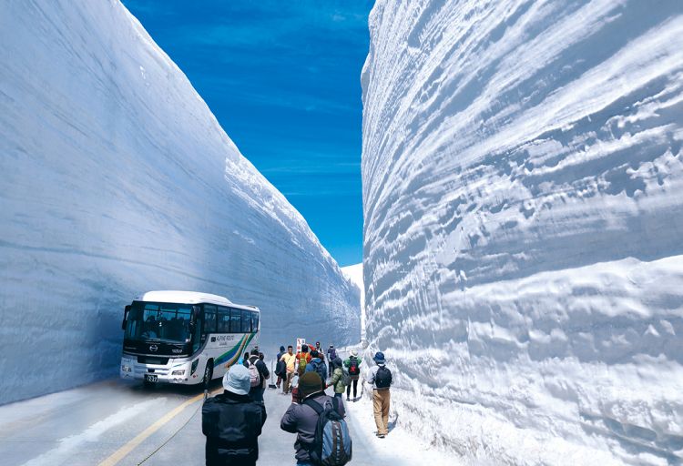 Dinding salju yang memukau di Tateyama Kurobe Alpine Route Dinding salju yang memukau di Tateyama Kurobe Alpine Route