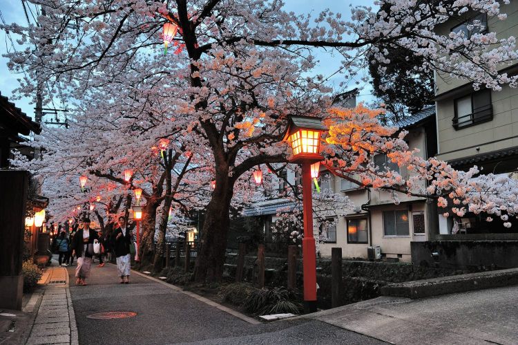 Suasana Kinosaki Onsen di musim semi (Visit Kinosaki Onsen)