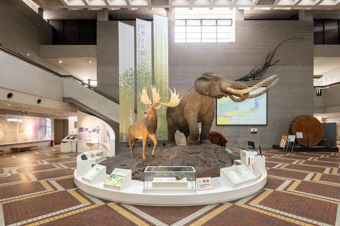 Osaka Museum of Natural History (Osaka Info)