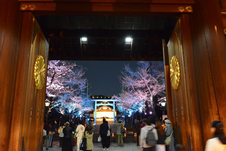 Selama acara berlangsung, iluminasi malam hari akan diadakan di Kuil Yasukuni