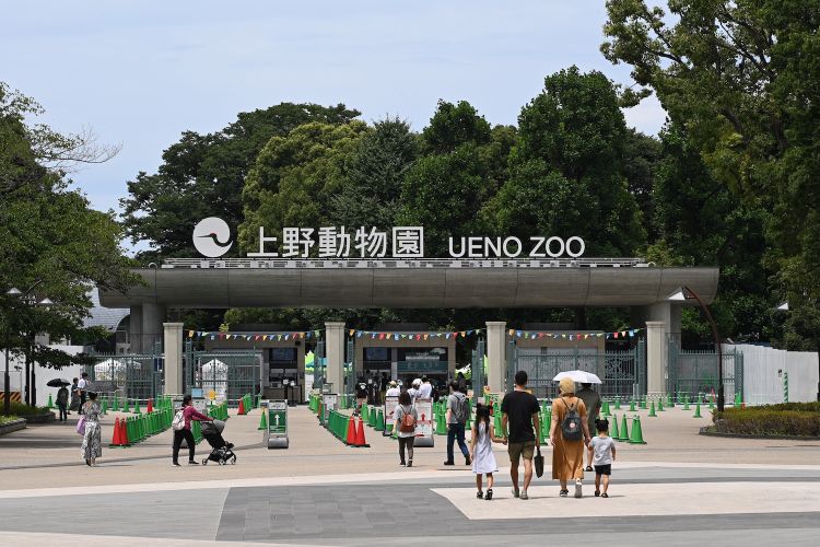 Ueno Zoo (JNTO) Hari Penghijauan tempat di tokyo yang gratis tiket masuk