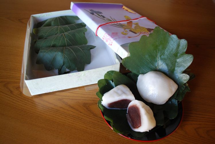 Kashiwamochi yang dibungkus daun ek Kashiwamochi yang dibungkus daun ek