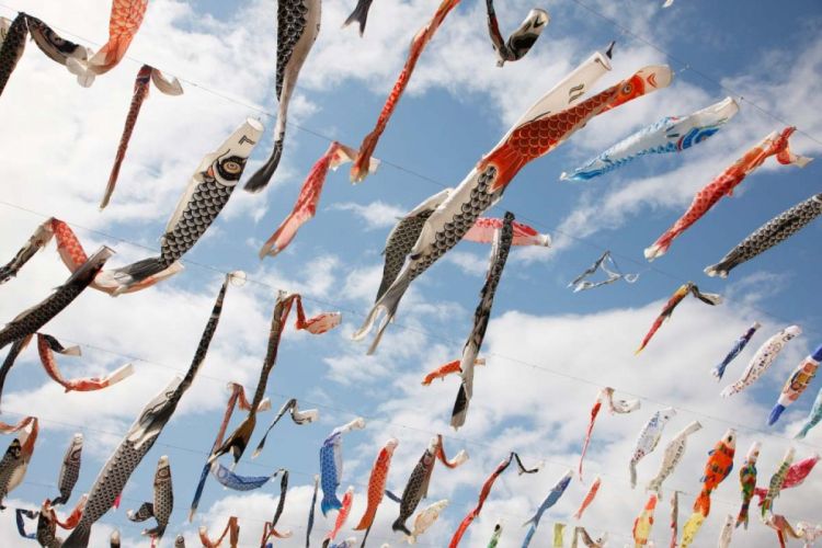 Koinobori Festa 1000 di Akutagawa Sakurazutsumi Park (Zekkei Japan) Event di Jepang minggu ini