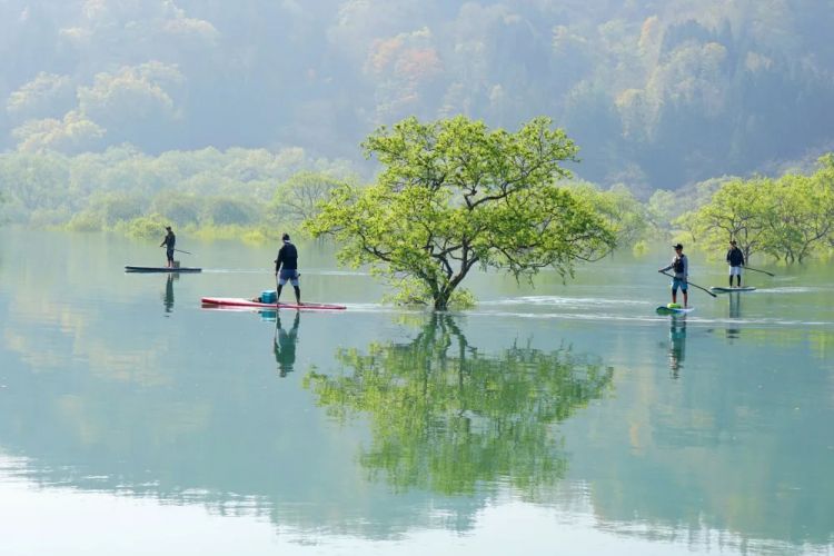 Para pengunjung melakukan paddle board di Danau Shirakawa (JNTO) Para pengunjung melakukan paddle board di Danau Shirakawa (JNTO)