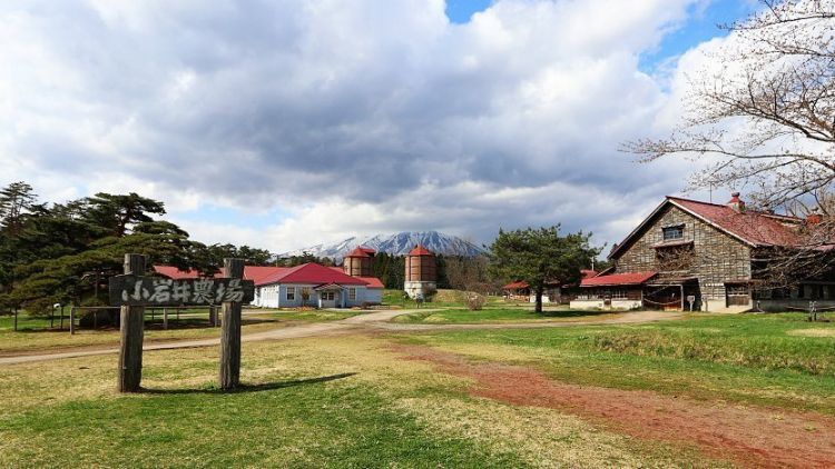 Koiwai Farm Koiwai Farm