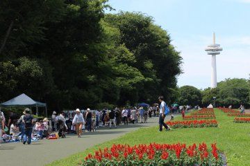 Flea Market at Tokorozawa Aviation Memorial Park Flea Market at Tokorozawa Aviation Memorial Park