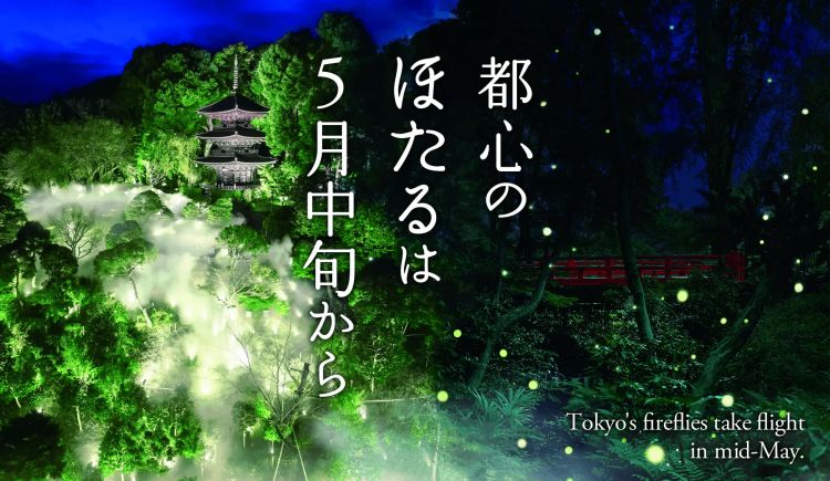 Malam Kunang-kunang Hotel Chinzanso Tokyo (PR Times) Malam Kunang-kunang Hotel Chinzanso Tokyo (PR Times)