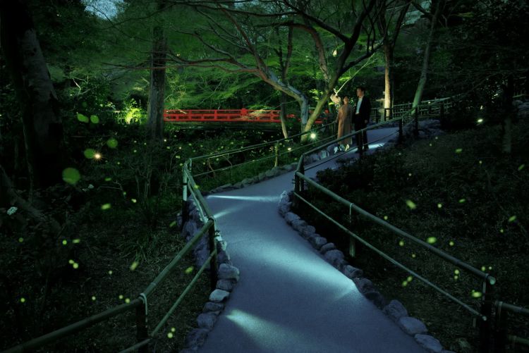 Menyaksikan kunang-kunang di malem hari (hotel-chinzanso-tokyo.jp) Menyaksikan kunang-kunang di malem hari (hotel-chinzanso-tokyo.jp)