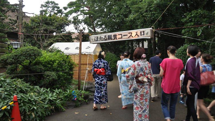 Setagaya Firefly Festival Setagaya Firefly Festival