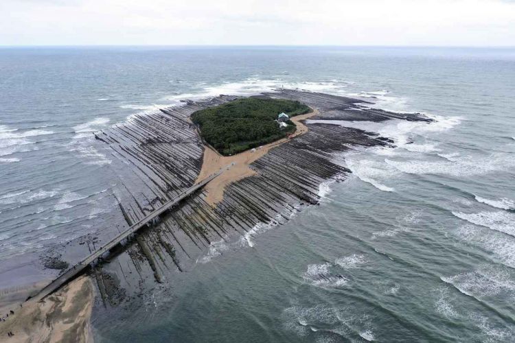 taman hiburan di Miyazaki disulap menjadi pusat kegiatan outdoor