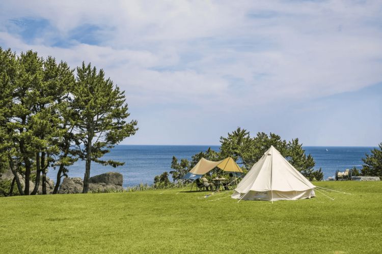 Tanesashi Coast Natural Lawn Tanesashi Coast Natural Lawn