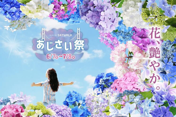 Festival Hydrangea di Mishima Skywalk (PR Times) Festival Hydrangea di Mishima Skywalk (PR Times)