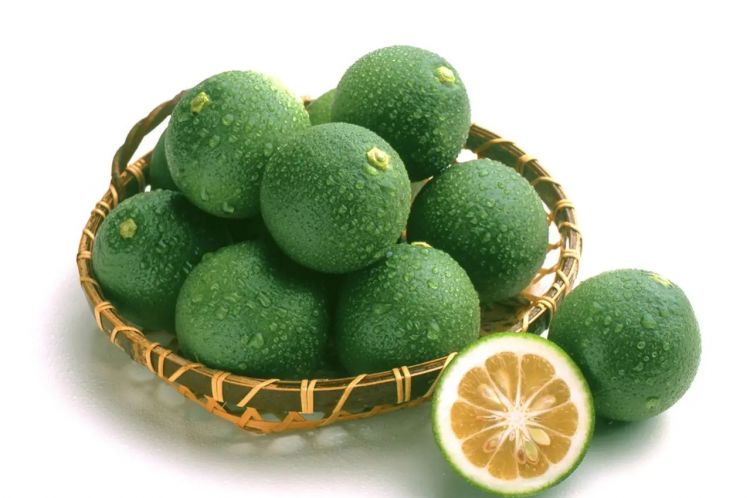 Jeruk Kabosu Jeruk Kabosu