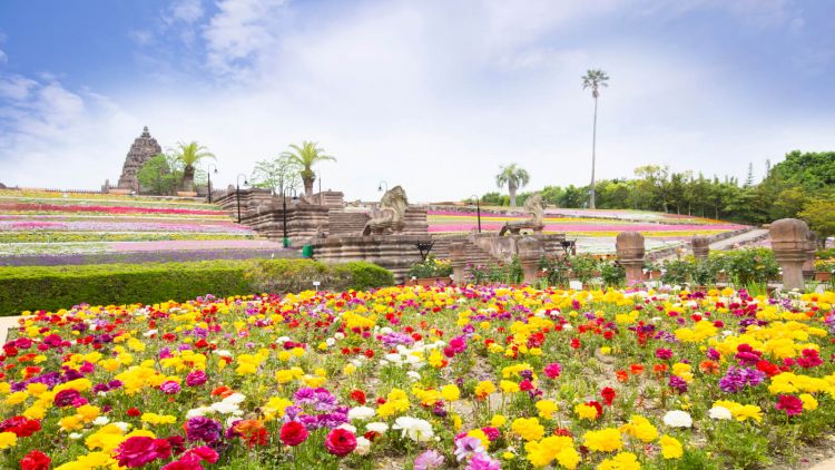 Reoma Flower World Reoma Flower World