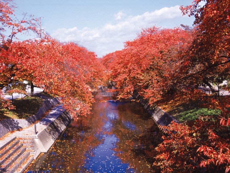 Sungai Gojo Sungai Gojo